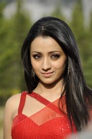 Trisha Hot Saree Photos